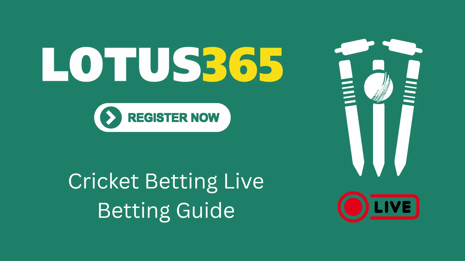 Live Cricket Betting - Ball-by-Ball Guide